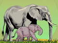 Peli Wild Animals and Their Babies