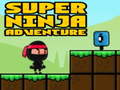 Peli Super Adventure Ninja