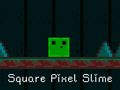 Peli Square Pixel Slime