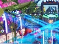 Peli Waterpark Parkour
