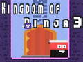 Peli Kingdom of Ninja 3