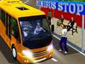 Peli City Minibus Driver