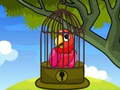 Peli Red Parrot Rescue