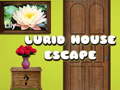 Peli Lurid House Escape