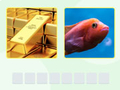 Peli Picword