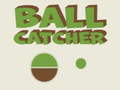 Peli Ball Catcher