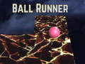 Peli Ball runner