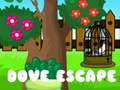 Peli Dove Escape