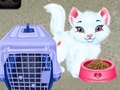 Peli Baby Taylor Pet Care