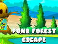 Peli Pond Forest Escape
