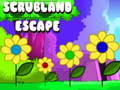 Peli Scrubland Escape