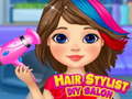 Peli Hair Stylist DIY Salon