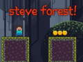Peli Steve Forest