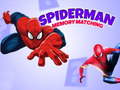 Peli Spiderman Memory Matching