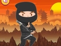 Peli Trained Ninja Puzzle