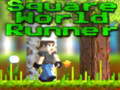 Peli Square World Runner