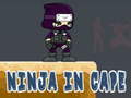 Peli Ninja in Cape
