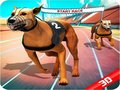 Peli Crazy Dog Race