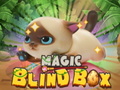 Peli Magic Blind Box