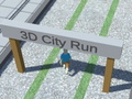 Peli City Run 3D
