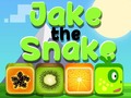 Peli Jake The Snake