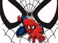 Peli Spiderman Match Cards