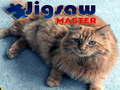 Peli Jigsaw Master 