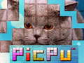 Peli PicPu Cat 