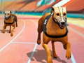 Peli Dogs3D Races