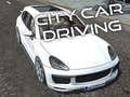 Peli City Car Driving 