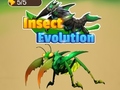 Peli Insect Evolution