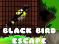 Peli Black Bird Escape
