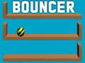 Peli Bouncer