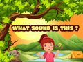 Peli What Sound Is This?