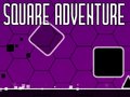 Peli Square Adventure