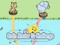 Peli Brain Master IQ Challenge