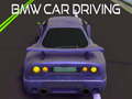 Peli BMW car Driving 