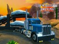 Peli 18 Wheeler Driving Sim