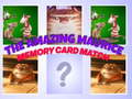 Peli The Amazing Maurice Card Match