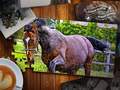 Peli Jigsaw Puzzle Horses Edition