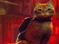 Peli Stray