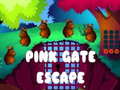 Peli Pink Gate Escape