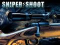 Peli Sniper Shooting