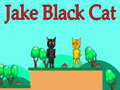 Peli Jake Black Cat