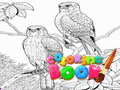 Peli Coloring Book for Adults