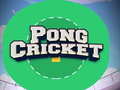 Peli Pong Cricket