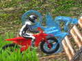 Peli BikeTrial Forest Road 2022