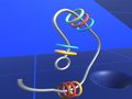 Peli Make Rings Off 