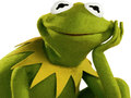 Peli Coloring Book For Kermit the Frog 