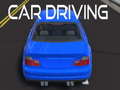 Peli Car Driving